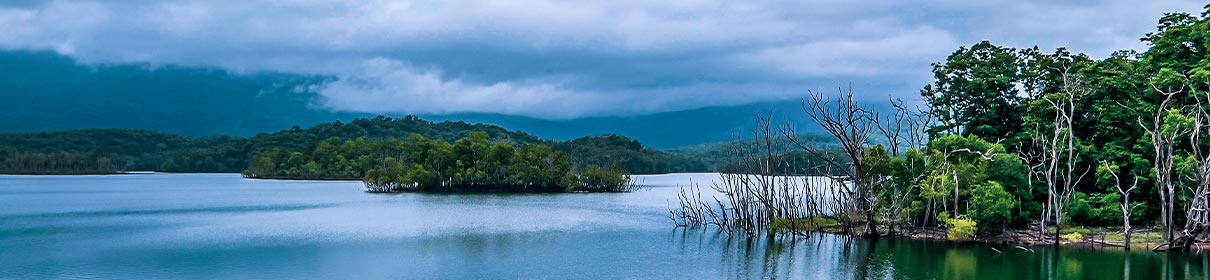 DOMESTIC TRADE FAIRS 2025-26